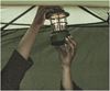 Picture of STARFLOWER AA LANTERN